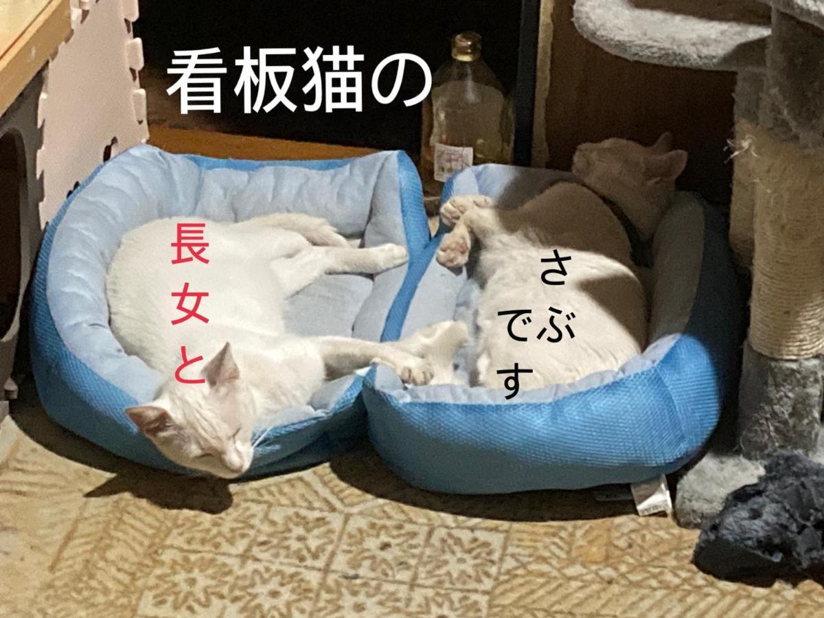 Guest House Salt Beach Yokkaichi Exterior foto